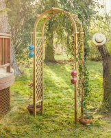 Arco de jardín Rosa Ascesis